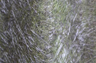 Pulford fibreglass roof work